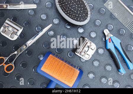 Tondeuse pour animaux de compagnie professionnelle sur la table, sur une surface plane.Ciseaux, peigne pour la fourrure d'animaux et coupe-ongles dans un salon de toilettage Banque D'Images