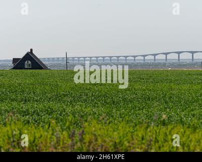 'terre est',agriculture,canada,pont confédération entre le nouveau-brunswick et l'île-du-prince-édouard,terres agricoles,ligne droite de northumberland,île-du-prince-édouard Banque D'Images