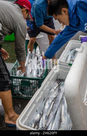 pêcheurs avec des marchandises dans le port de heping Banque D'Images