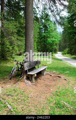 banc contemplatif dans la forêt sur le chemin de la zirler kristenalm (1348m), vélo, pause, piste cyclable, weg strasse à großkristental, tyrol, autriche Banque D'Images