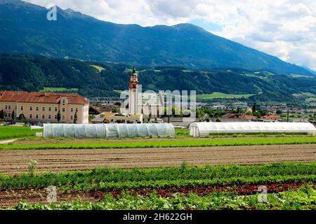 autriche,tyrol,absam,vue sur la ville,europe,montagnes,chaîne de montagnes,alpes,localité,maisons,maisons résidentielles,église,prairies,champs,arbres,fleurs,saison,été,déserte, Banque D'Images