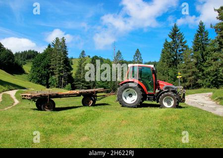 lindner geotrac 73,3300 cm–³,3 cylindres,bj.2009,tracteur pendant la récolte de foin,allemagne,bavière,haute-bavière,pays werdenfelser,vallée d'isar,mittenwald,en arrière-plan la haute kranzberg,wildensee,prairies à bosse,wagons de foin Banque D'Images