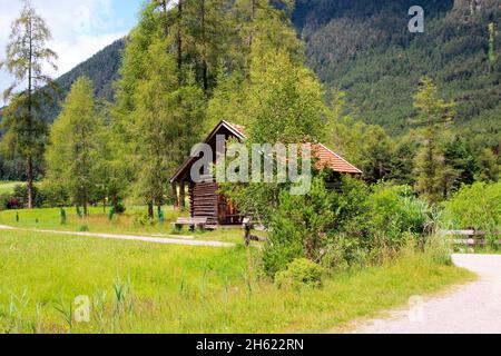 autriche,tyrol,plateau mieminger,cabane dans la forêt,à l'extérieur,été,prairies,prairie,été prairies Banque D'Images