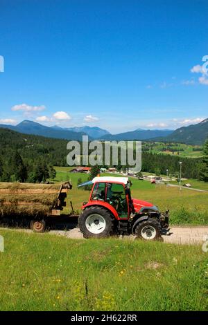 old man entraîne lindner geotrac 73,3300 cm–³,3 cylindres,bj.2009,tracteur à la récolte de foin,allemagne,bavière,haute-bavière,pays werdenfelser,vallée d'isar,mittenwald,wildensee,buckelwiesen,charriot,luttensee Banque D'Images