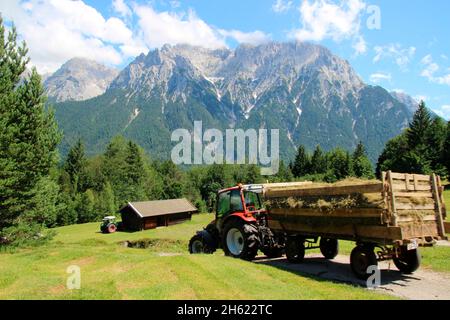 lindner geotrac 73,3300 cm–³,3 cylindres,bj.2009,tracteur pendant la récolte du foin,allemagne,bavière,haute-bavière,werdenfelser land,isar vallée,mittenwald,wildensee,buckelwiesen,karwendel montagnes,charriot,karwendel Banque D'Images