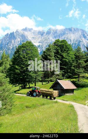 lindner geotrac 73,3300 cm–³,3 cylindres,bj.2009,tracteur pendant la récolte de foin,allemagne,bavière,haute-bavière,werdenfelser land,isar vallée,mittenwald,kranzberg,wildensee,buckelwiesen,karwendel montagnes,foin charriot,karwendel Banque D'Images