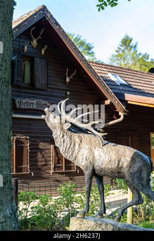 europe,allemagne,bade-wurtemberg,région de schönbuch,parc naturel de schönbuch,bebenhausen,waldgasthof weiler hut à schönbuch Banque D'Images