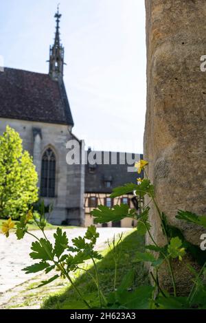 europe,allemagne,bade-wurtemberg,région de schönbuch,parc naturel de schönbuch,bebenhausen,monastère de bebenhausen Banque D'Images