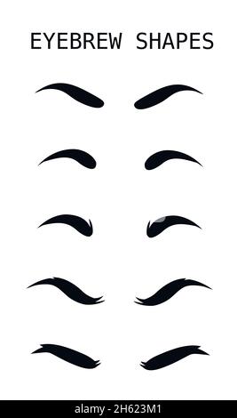 Ensemble de sourcils forme. Formes de sourcil. Différents types de sourcils. Conseils de maquillage. Sourcils pour les femmes. Illustration de Vecteur