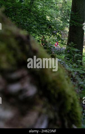 europe,allemagne,bade-wurtemberg,région de schönbuch,waldenbuch,boy bénéficie d'une belle journée de printemps dans la forêt Banque D'Images