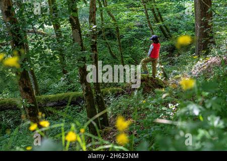 europe,allemagne,bade-wurtemberg,région de schönbuch,waldenbuch,boy bénéficie d'une belle journée de printemps dans la forêt Banque D'Images