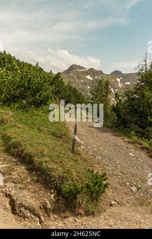 Sareis, Liechtenstein, le 20 juin 2021 Panorama de la montagne par une journée Banque D'Images