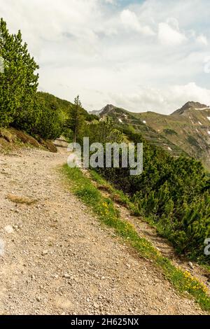 Sareis, Liechtenstein, le 20 juin 2021 Panorama de la montagne par une journée Banque D'Images