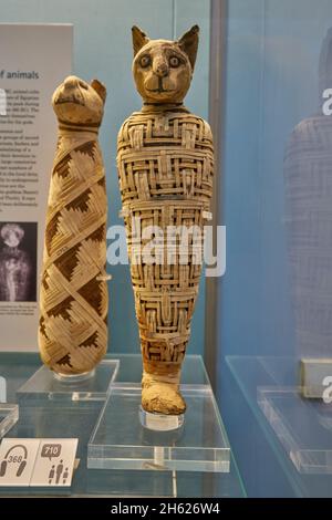 momie égyptienne du musée britannique de chat Banque D'Images