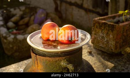 deux pommes rouges sur une assiette blanche à l'eau de pluie Banque D'Images