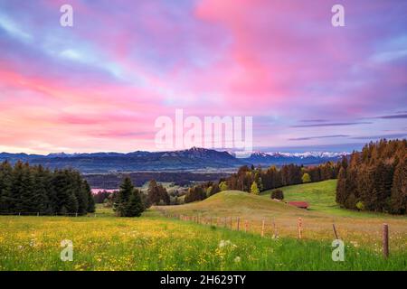 lever du soleil le jour du printemps dans l'allgäu. vue sur l'illertal aux alpes enneigées de l'allgäu. bavière, allemagne, europe Banque D'Images