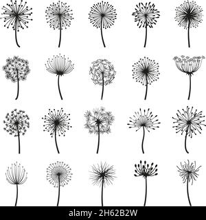 Pissenlit moelleux, boules de fleurs silhouettes décoratives florales.Pissenlit graines molletonnées fleurs plantes vecteur plat jeu d'illustration.Floraison Illustration de Vecteur