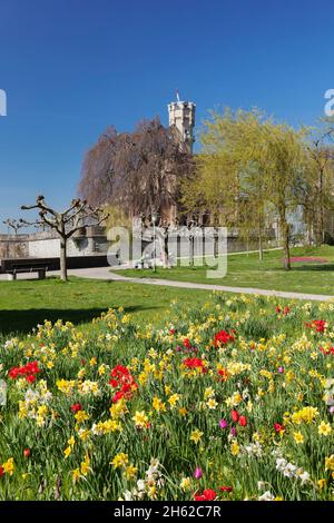 château de montfort, langenargen, lac de constance, bade-wurtemberg, allemagne Banque D'Images