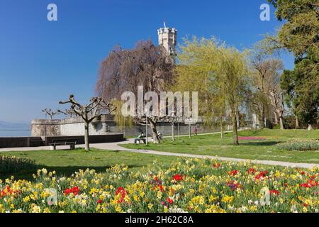 château de montfort,langenargen,lac de constance,bade-wurtemberg,allemagne Banque D'Images