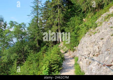 chemin vers la cabane mittenwalder au-dessus de mittenwald dans le karwendel, avec cordes de sécurité et arbres verts, ciel bleu, allemagne, bayer, haute-bavière, vallée d'isar, alpenwelt karwendel, Banque D'Images