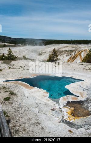 Le Printemps de l'étoile bleue près de l'ancien Geyser fidèle Banque D'Images