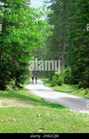 deux jeunes femmes, vélo, mtb tour sur le chemin de la zirler kristenalm (1348m), dans großkristental, route, cyclistes, tyrol, autriche Banque D'Images