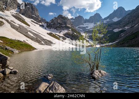 un jeune arbre avec des feuilles vertes pousse sur une petite île en pierre au milieu d'un lac de montagne, albanie, prokletije parc national Banque D'Images