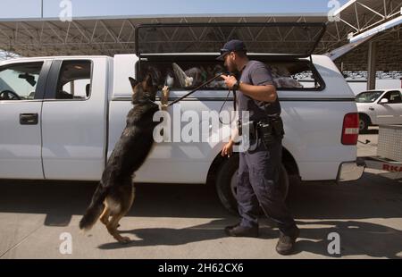 Un agent des douanes et de la protection des frontières des États-Unis et son chien recherchent un véhicule qui fait l'objet d'un contrôle lors de l'expédition de produits aux États-Unis, au port d'entrée d'Otay Mesa, en Californie, le 23 juin 2016. Banque D'Images