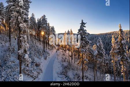 allemagne,thuringe,ilmenau,gehren,forêt,chemin,vallée,montagnes,neige,environnement de rennsteig,rétro-éclairage Banque D'Images