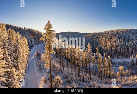 allemagne,thuringe,ilmenau,gehren,forêt,vallée,montagnes,sentier,neige,environnement de rennsteig,rétro-éclairage Banque D'Images