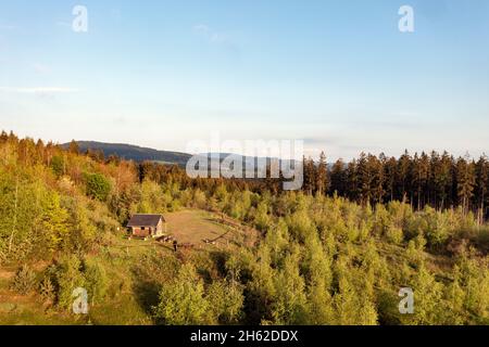 allemagne,thuringe,ilmenau,gehren,forêt,kyrilhütte,gotteskopf,montagnes Banque D'Images