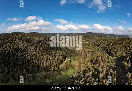 allemagne,thuringe,ilmenau,gehren,paysage,vallée; cours d'eau,forêt,montagnes,sentiers,rennsteig zone Banque D'Images