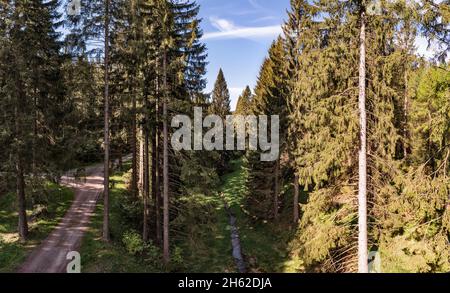 allemagne,thuringe,ilmenau,gehren,forêt,ruisseau,rennsteig Banque D'Images