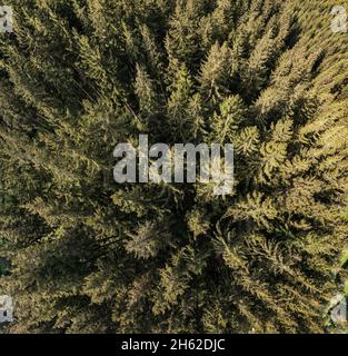 allemagne,thuringe,ilmenau,gehren,forêt,rennsteig,vue de dessus,vue aérienne Banque D'Images