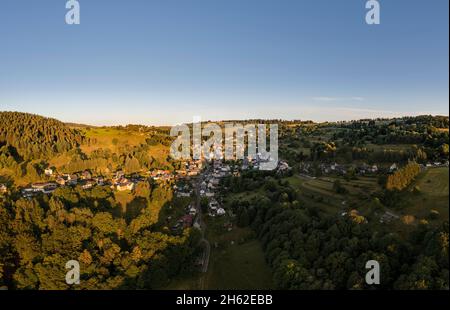 allemagne,thuringe,communauté rurale schwarzatal,deesbach,village,aperçu,lumière du matin Banque D'Images