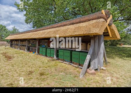 apiary dans la lande de lueneburg,basse-saxe,allemagne,europe Banque D'Images