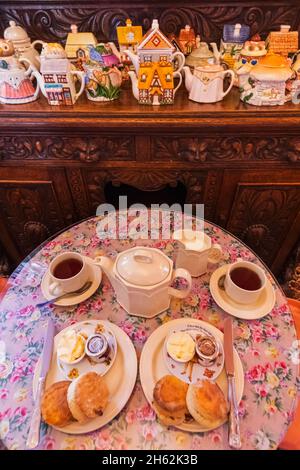 angleterre, île de wight, vieux village de shanklin, le vieux tach teashop, thé anglais traditionnel et scones Banque D'Images