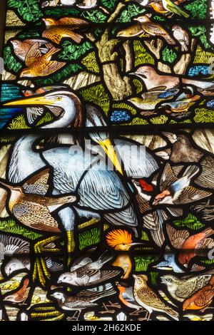 england,hampshire,selborne,st.mary's church,memorial vitraux fenêtre au naturaliste gilbert blanc montrant st.francis d'assise nourrissant les oiseaux Banque D'Images