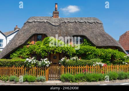 angleterre,hampshire,vallée d'essai,maison de toit de chaume traditionnelle du roi Banque D'Images