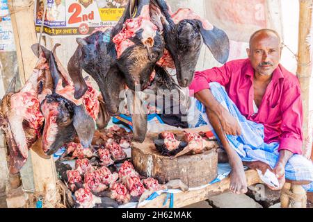 KHULNA, BANGLADESH - 16 NOVEMBRE 2016 : boucherie de rue avec têtes de chèvre à Khulna, Bangladesh Banque D'Images