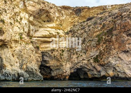 Bords rocailleux de la crique de iż-Żurrieq, près de la Grotte bleue, Malte, sortant de la mer Méditerranée et éclairé par le soleil du matin.Formations rocheuses avec Banque D'Images