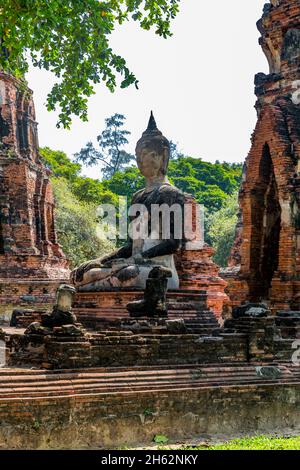 statue de bouddha assis, tour de temple ruine, prang, wat mahathe, wat maha qui, complexe de temple bouddhiste, construit en 1374 sous le roi borommaracha i, parc historique ayutthaya, ayutthaya, thaïlande, asie Banque D'Images