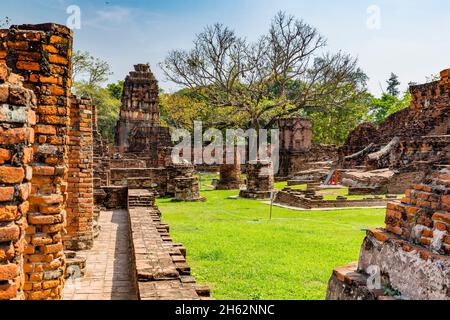 ruines de la tour du temple, prang et chedi, wat mahathe, wat maha qui, complexe du temple bouddhiste, construit en 1374 sous le roi borommaracha i, parc historique ayutthaya, ayutthaya, thaïlande, asie Banque D'Images