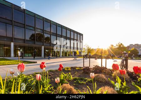 allemagne,bade-wurtemberg,stuttgart,jardin du château supérieur,parlement d'etat,patineurs Banque D'Images