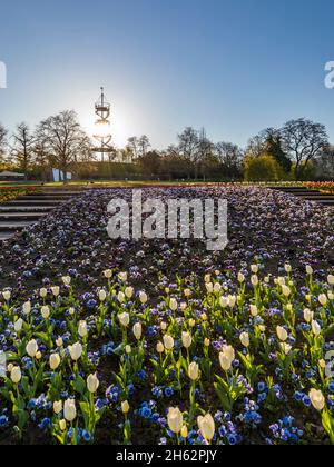 allemagne,bade-wurtemberg,stuttgart,stuttgart-nord,killesberg,höhenpark killesberg,killesbergturm Banque D'Images