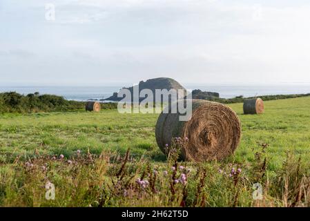 france,bretagne,saint coulomb,balles de paille sur la côte atlantique. Banque D'Images