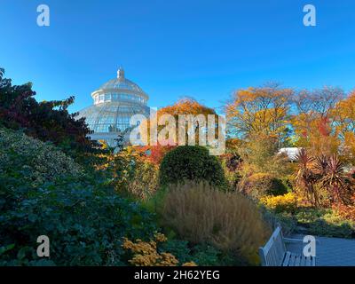 Bronx, NY, USA - 13 novembre 2021 : le dôme du Conservatoire Haupt vu du feuillage d'automne au jardin botanique de New York Banque D'Images