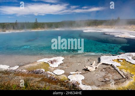 Un crâne de wapiti se reposant à côté des rives de Columbia Pool dans le bassin de Heart Lake Geyser.Parc national de Yellowstone, Wyoming Banque D'Images