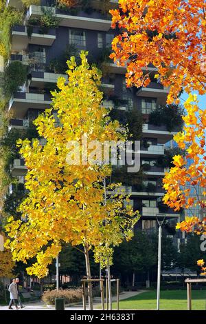 Couleurs d'automne parmi les feuilles des arbres devant le gratte-ciel Bosco Verticale, Isola distrect, Milan, Italie Banque D'Images