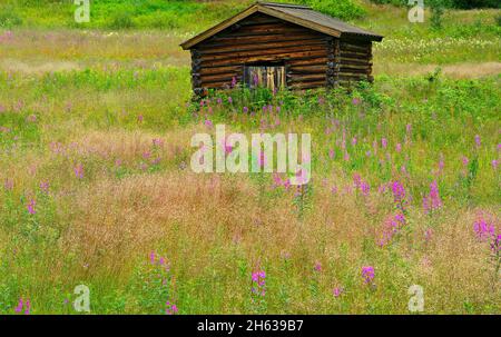 europe,suède,province de jämtland,härjedalen,sennhütte près de vemdalen Banque D'Images